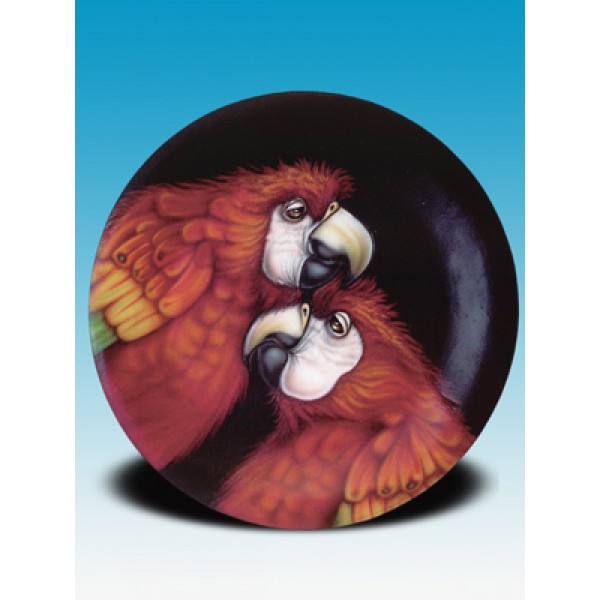 Todd Warner Plate Series - Macaws